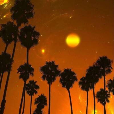 单机的打鱼游戏手机app下载