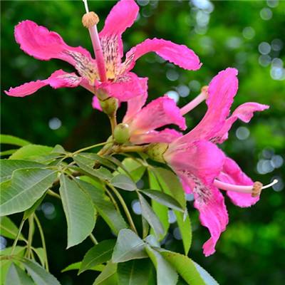 久游棋牌手机app下载